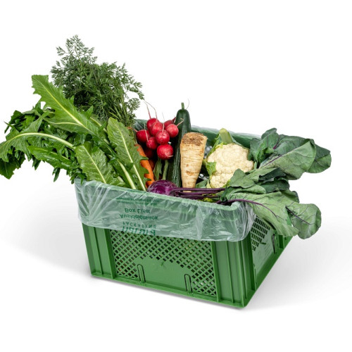 Foto Bio Gemüse-Kiste